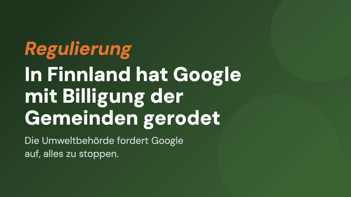 In Finnland hat Google mit Billigung der Gemeinden gerodet