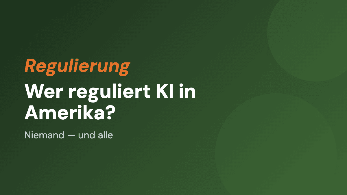 Wer reguliert KI in Amerika? Niemand — und alle